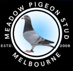 wpf racing pigeons.